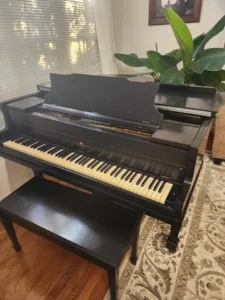Black grand piano with open lid, matching bench, and large green plant in a sunlit corner of a carpeted room.