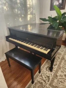 A black grand piano with a matching bench sits on a patterned rug near a plant and window with blinds.